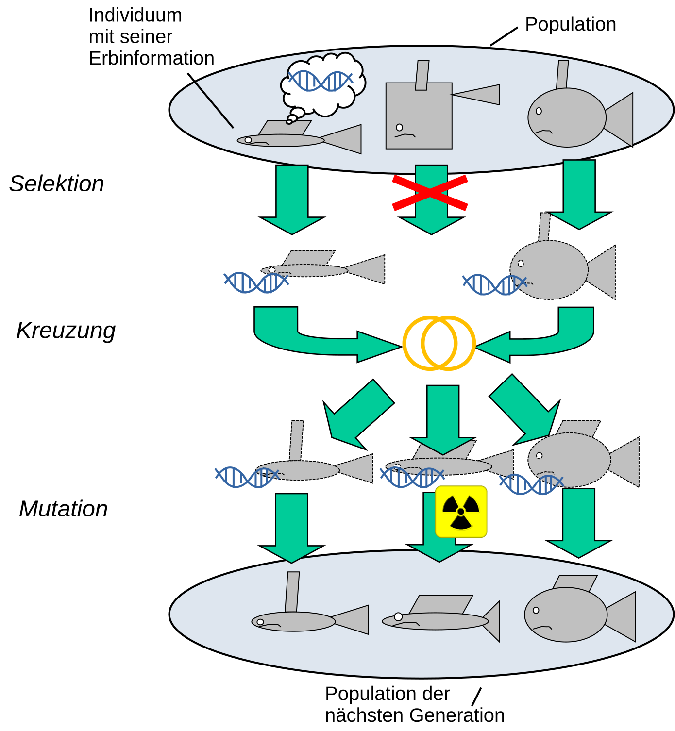 Das Prinzip der Evolution aus informatischer Sicht