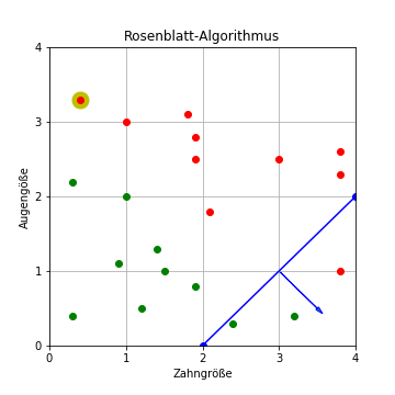 Rosenblatt-Algorithmus