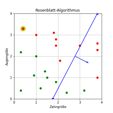 Rosenblatt-Algorithmus