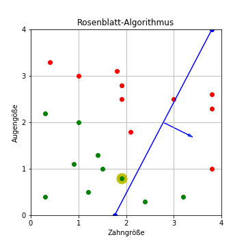 Rosenblatt-Algorithmus