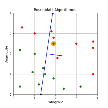 Rosenblatt-Algorithmus