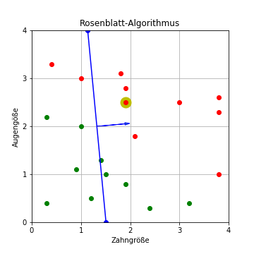 Rosenblatt-Algorithmus