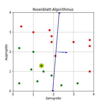 Rosenblatt-Algorithmus