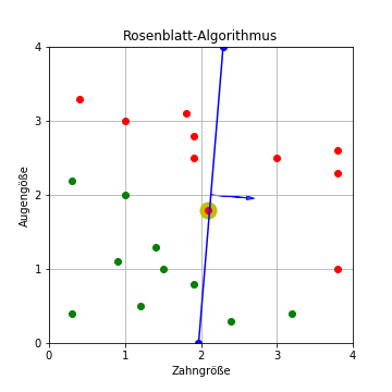 Rosenblatt-Algorithmus