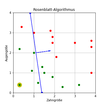 Rosenblatt-Algorithmus