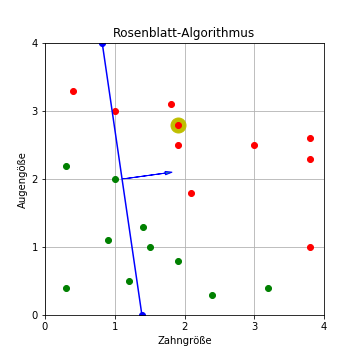 Rosenblatt-Algorithmus