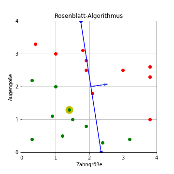 Rosenblatt-Algorithmus