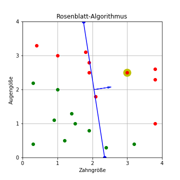 Rosenblatt-Algorithmus