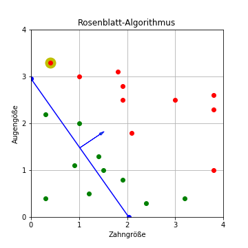 Rosenblatt-Algorithmus