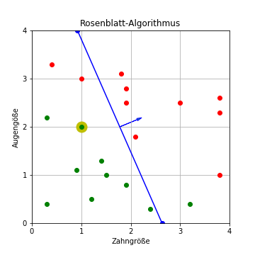 Rosenblatt-Algorithmus