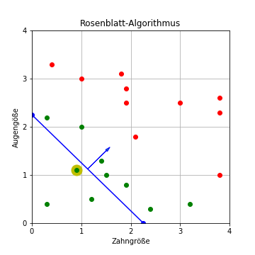 Rosenblatt-Algorithmus