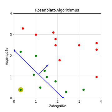 Rosenblatt-Algorithmus