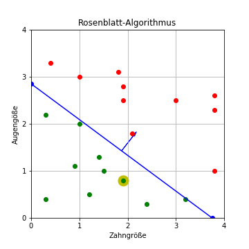 Rosenblatt-Algorithmus