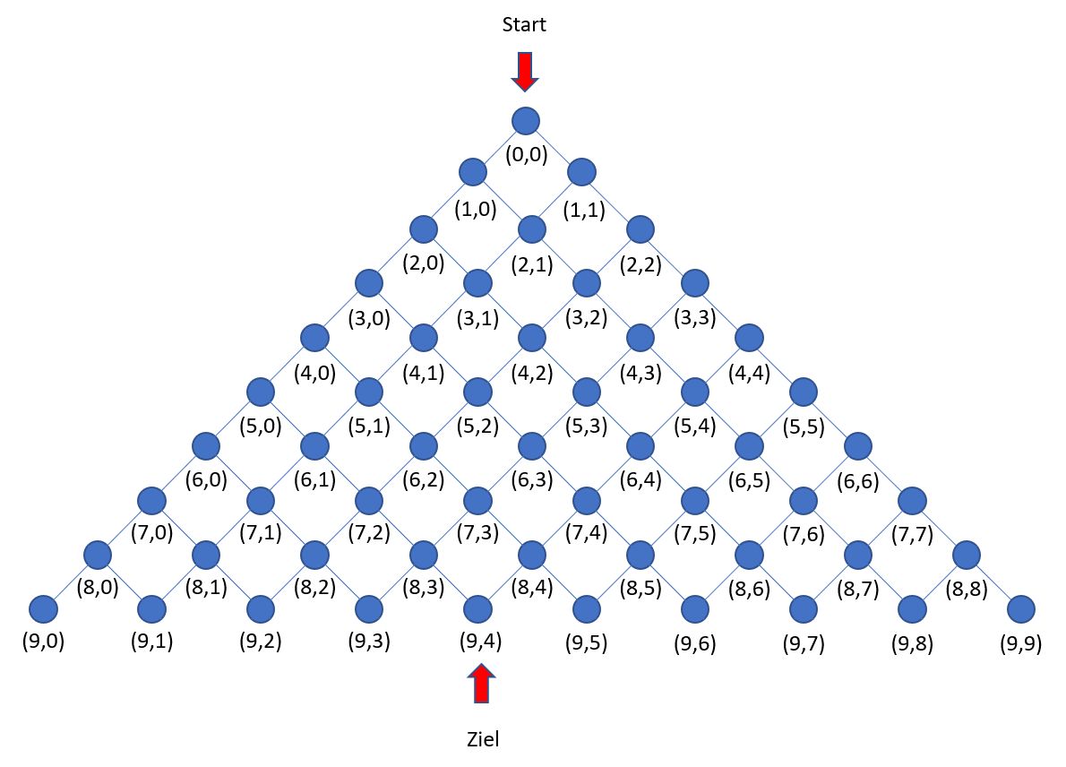 Wegenetz wie im Galtonbrett